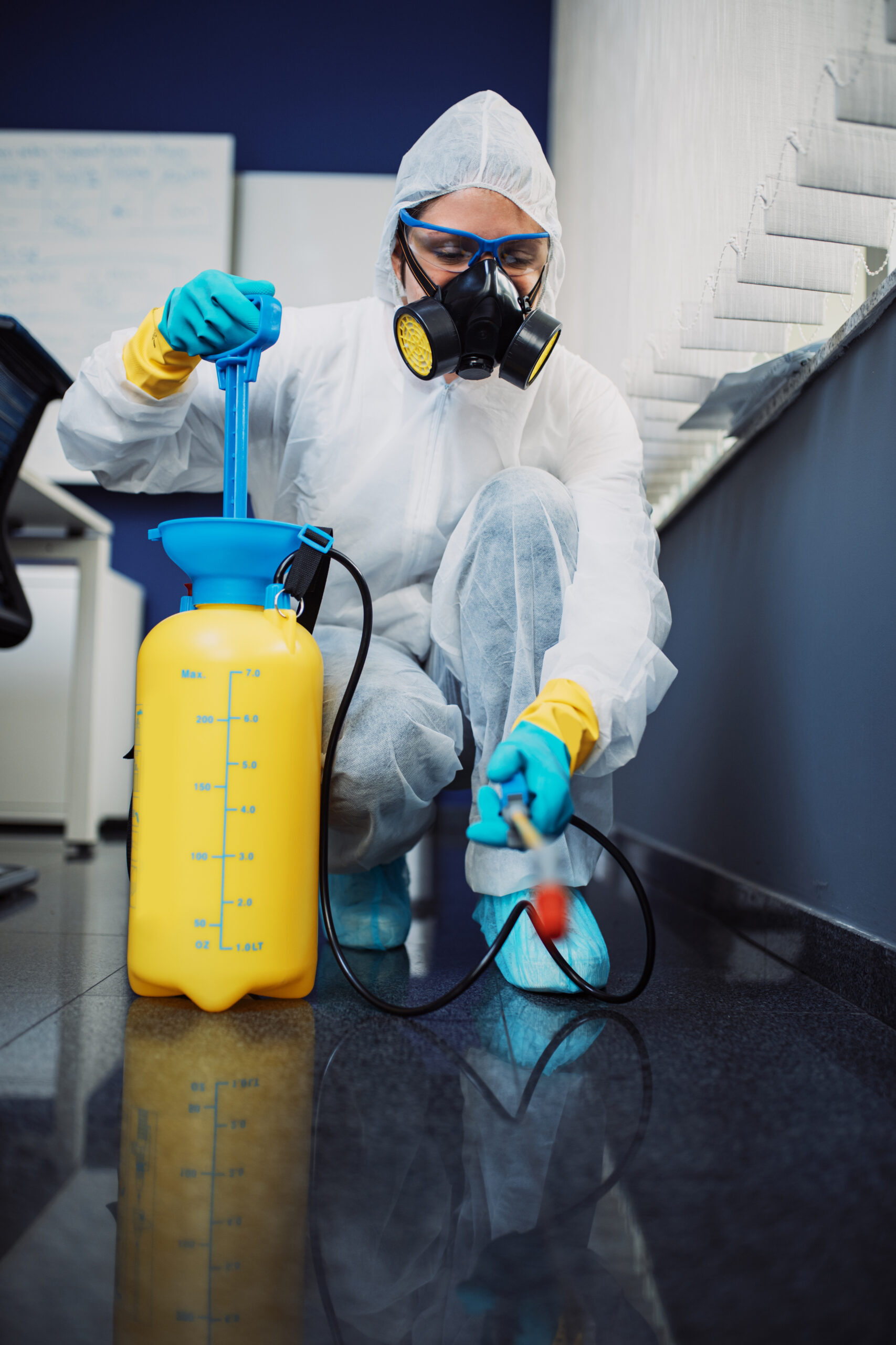 Bahçe İlaçlama - Tahta Kurusu İlaçlama - Hamam Böceği İlaçlama